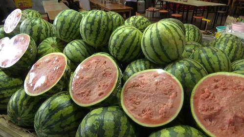 2023年顺德吃瓜网红,揭秘顺德美食界的“吃瓜”风云