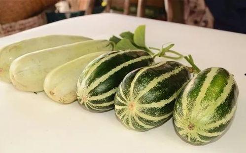 吃瓜湖北网红,揭秘网络红人的幕后故事