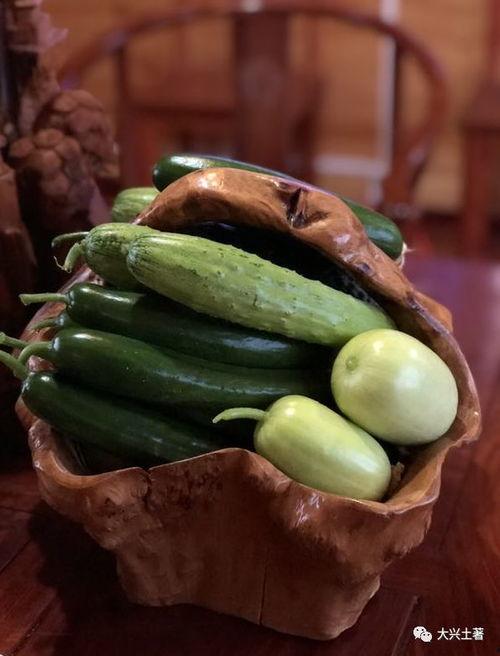 吃瓜网红韩静格,吃瓜界的风云人物