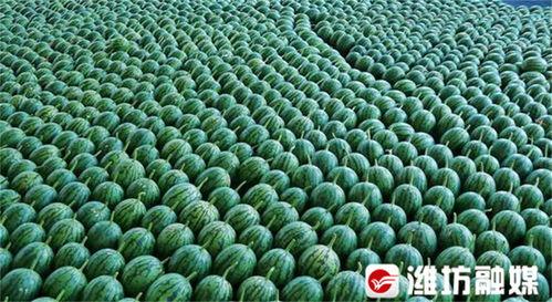 吃瓜网怎么安装,轻松上手，畅享娱乐资讯