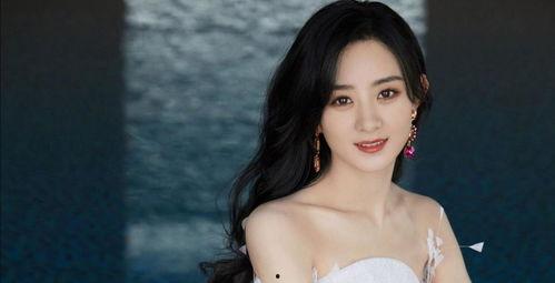 娱乐吃瓜离婚女星,揭秘离婚女星背后的故事