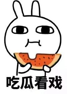 111娱乐吃瓜,揭秘娱乐圈的“吃瓜”盛宴